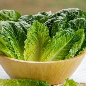 Romaine Lettuce